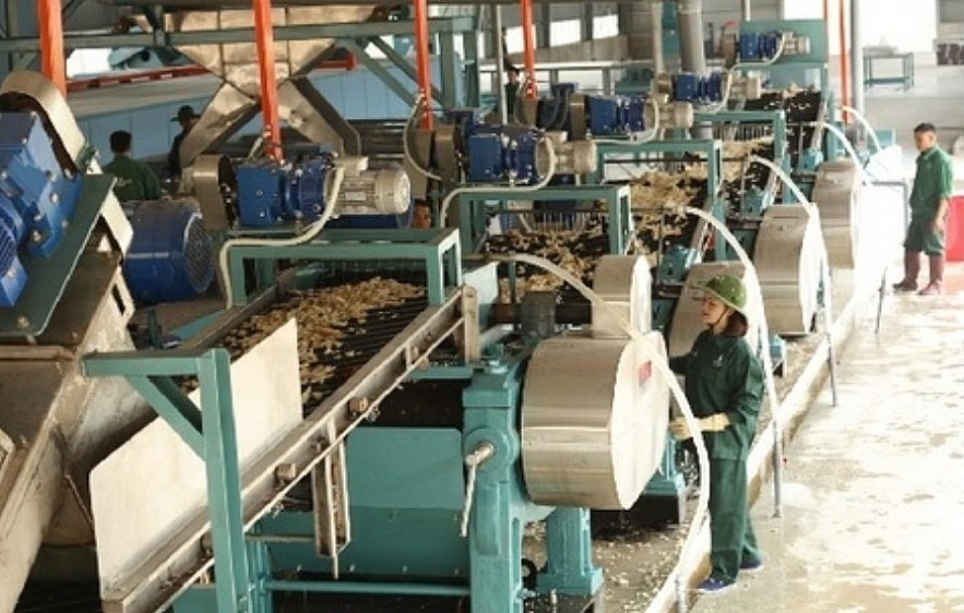 Vietnam Ranks Third In The World In Terms Of Rubber Export Value Vietnam Ranks Third In The World In Terms Of Rubber Export Value