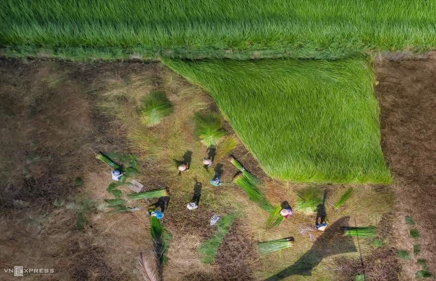 Photos show the beauty of Vietnam's traditional craft villages Photos show the beauty of Vietnam's traditional craft villages
