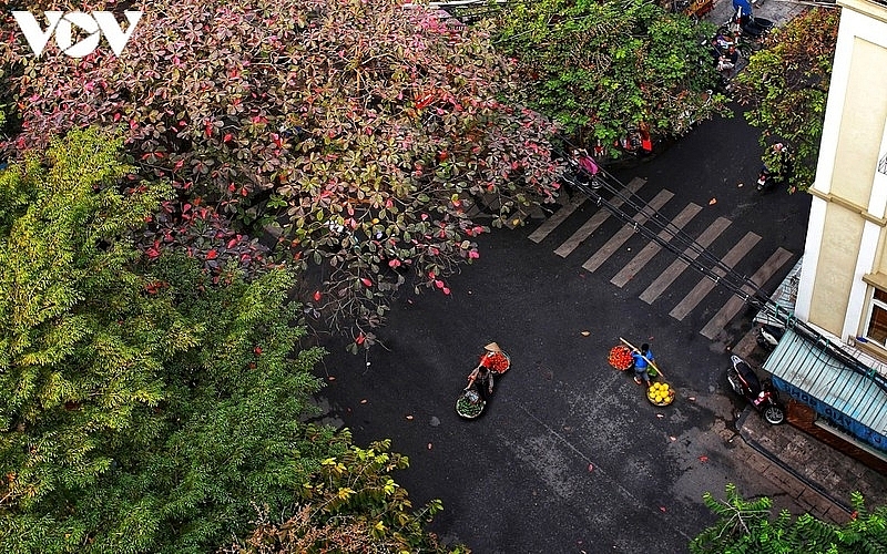(Photo: VOV) 5429-street-7