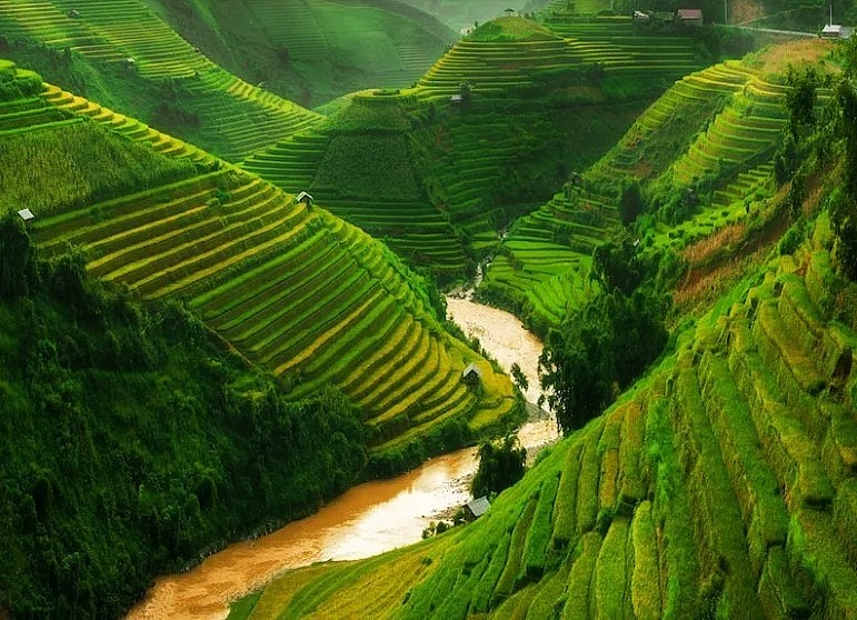 Vietnam Now Has Easiest Entry Requirement In Southeast Asia: Travel Website Vietnam Now Has Easiest Entry Requirement In Southeast Asia: Travel Website