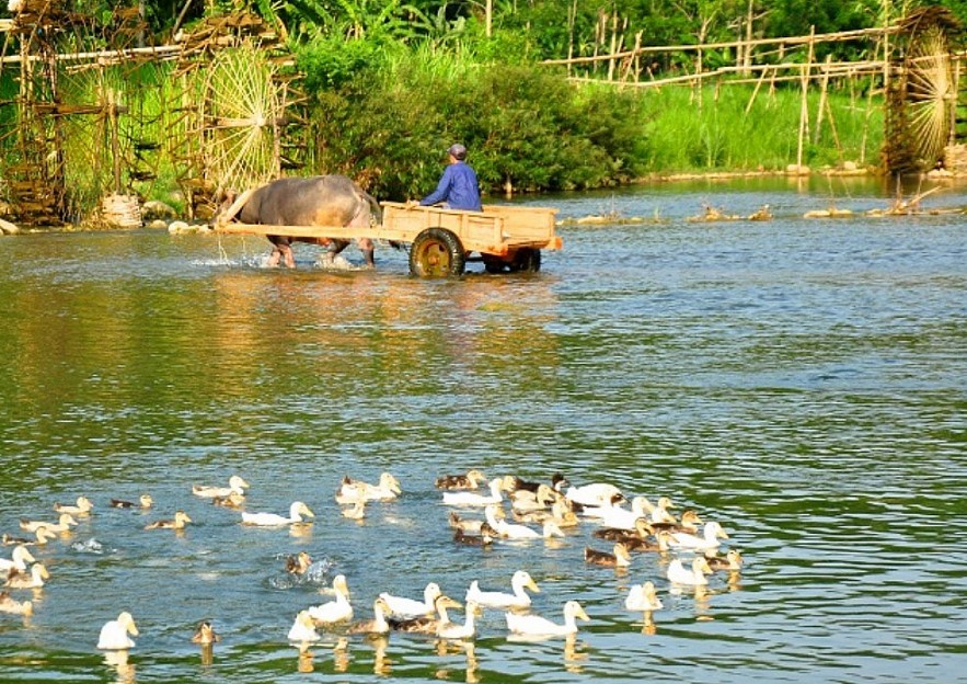 Pu Luong Nature Reserve, A Hidden Gem Of Vietnam Pu Luong Nature Reserve, A Hidden Gem Of Vietnam