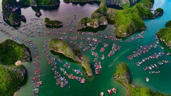 absorbing beautiful masterpieces of coral reefs in ganh yen quang ngai province