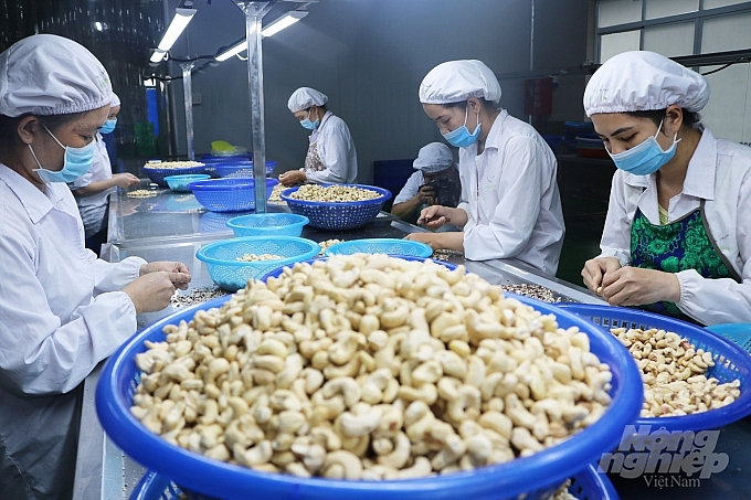 Vietnam's recovery expectation ranks second in ASEAN in agri-food industry Vietnam's recovery expectation ranks second in ASEAN in agri-food industry
