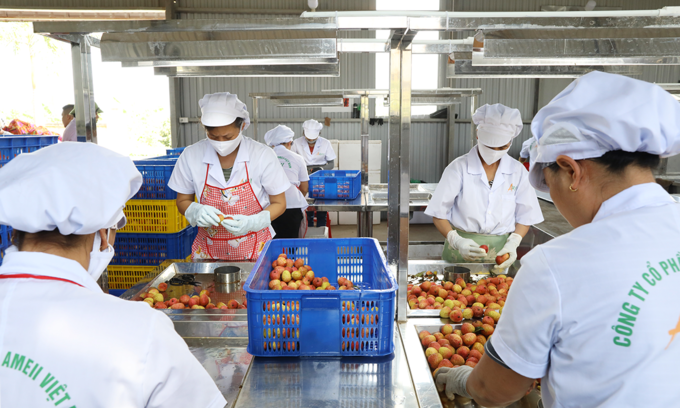 Vietnamese exporters to have greater opportunities in the U.S. market Vietnamese exporters to have greater opportunities in the U.S. market
