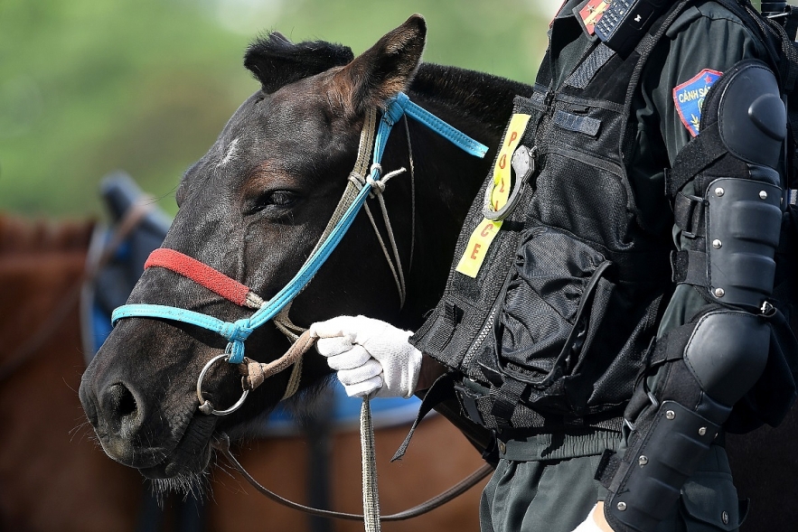 Vietnam's cavalry mobile police force makes debut vietnams cavalry mobile police force makes debut