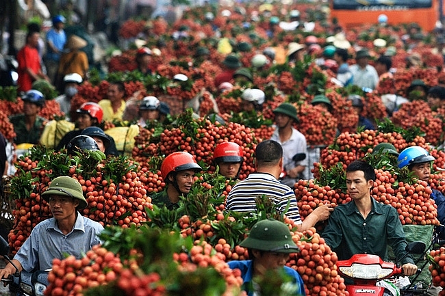 Vietnam's agriculture sector targets $40 billion export Vietnam's agriculture sector targets $40 billion export