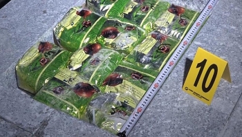 how a drug trafficking ring led by ex korean cop busted in vietnam