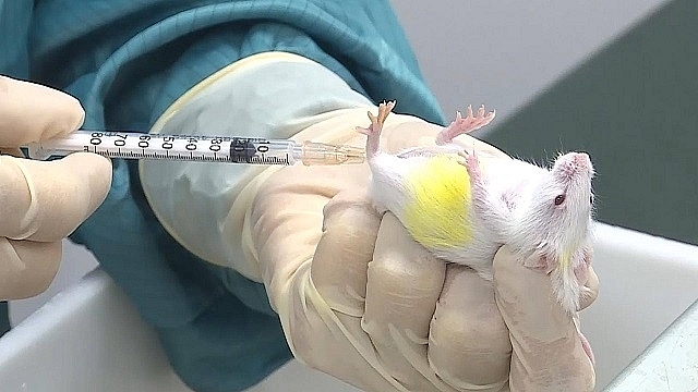 Vietnam expects to have COVID 19 vaccine in 2021 vietnam expects to have covid 19 vaccine in 2021