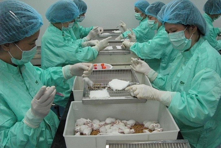 Vietnam expects to have COVID 19 vaccine in 2021 vietnam expects to have covid 19 vaccine in 2021