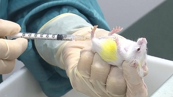 covid 19 vaccines expected to have in vietnam soon