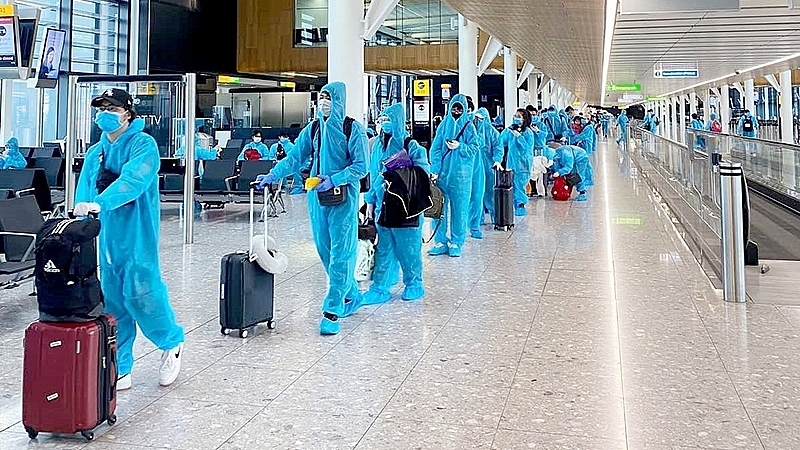 Vietnam reviews businesses taking advantage of the priority immigration policy to import unqualified foreigners vietnam reviews businesses taking advantage of the priority immigration policy to import unqualified foreigners