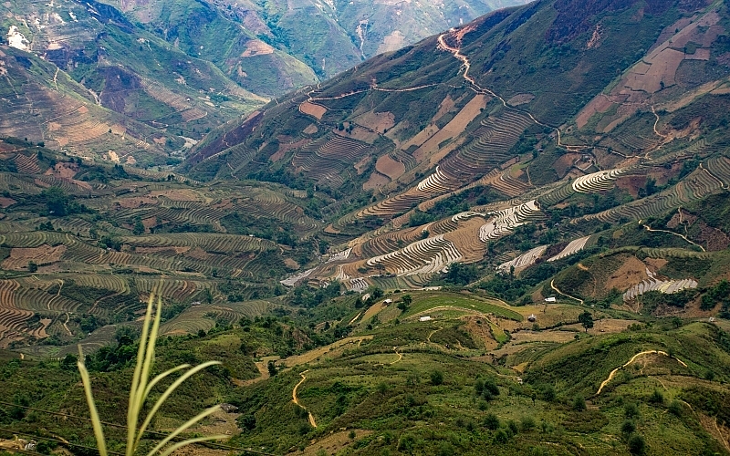 Ta Xua clouds hunting: Exploring exotic ta xua cloud hunting exploring the most famous dinosaur backbone in vietnam
