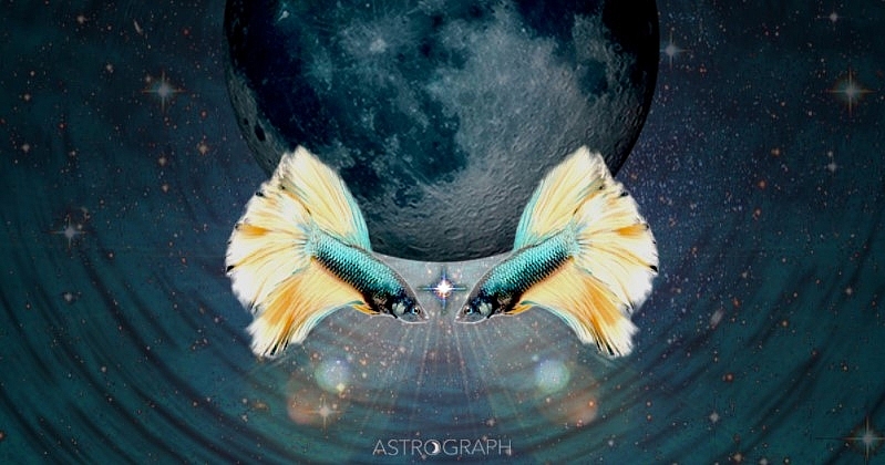 Pisces Horoscope September 2021: Monthly Predictions for Love, Financial, Career and Health Pisces Horoscope September 2021: Monthly Predictions for Love, Financial, Career and Health