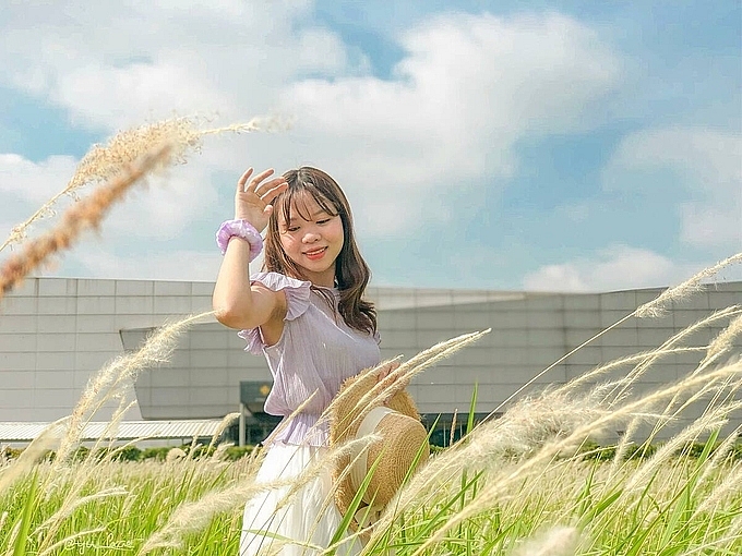 3 picturesque grasslands attract the young in Hanoi 3 picturesque grasslands attract the young in Hanoi