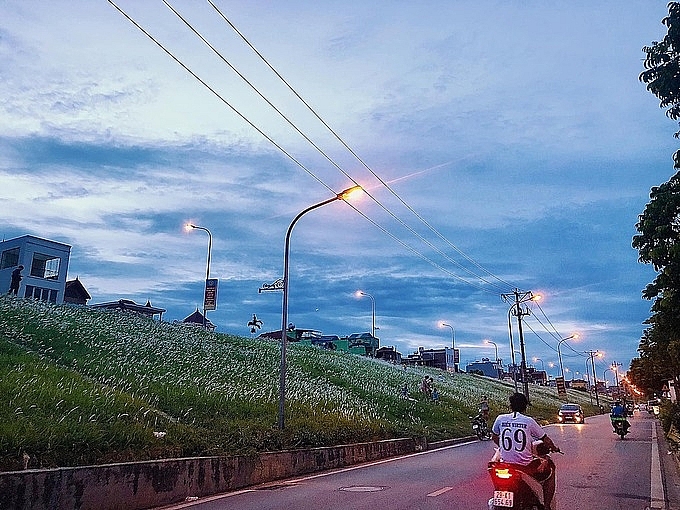 3 picturesque grasslands attract the young in Hanoi 3 picturesque grasslands attract the young in Hanoi