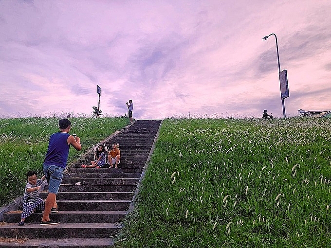 3 picturesque grasslands attract the young in Hanoi 3 picturesque grasslands attract the young in Hanoi