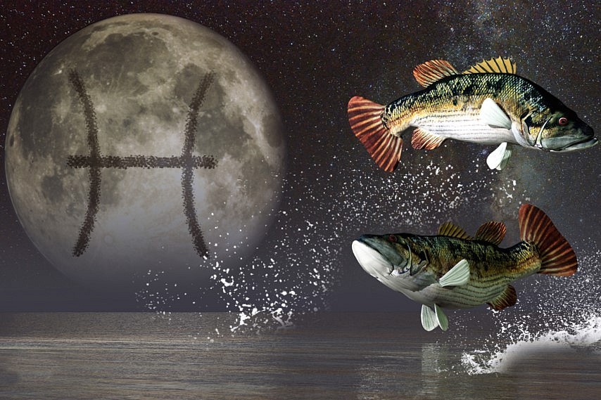 Pisces Horoscope October 2021: Monthly Predictions for Love, Financial, Career and Health Pisces Horoscope October 2021: Monthly Predictions for Love, Financial, Career and Health