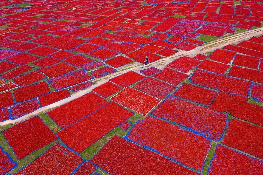 AAP Magazine #20 TRAVELS Winners: Vietnamese Photographer Receives Honorable Mentions AAP Magazine #20 TRAVELS Winners: Vietnamese Photographer Receives Honorable Mentions