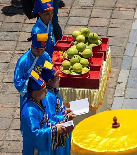 Thanh Tra Pomelo: A Distinctive Taste Of Hue's Symbol Thanh Tra Pomelo: A Distinctive Taste Of Hue's Symbol
