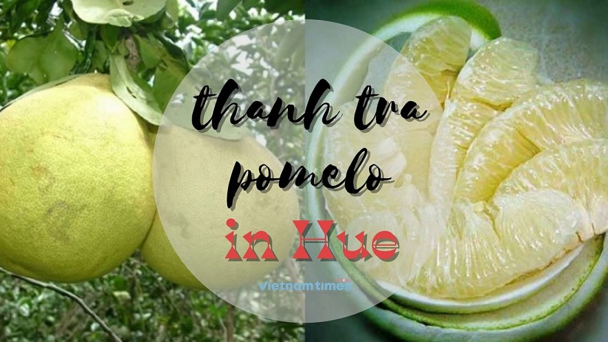 Thanh Tra Pomelo: A Distinctive Taste Of Hue's Symbol Thanh Tra Pomelo: A Distinctive Taste Of Hue's Symbol