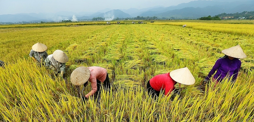 Vietnam's agriculture sector targets $40 billion export Vietnam's agriculture sector targets $40 billion export