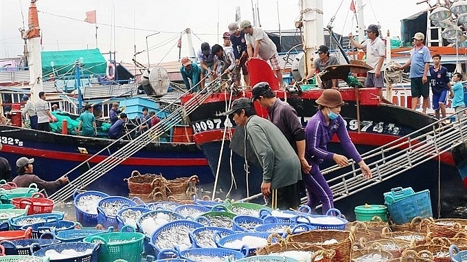 Vietnam to develop the marine economy and promote offshore exploitation Vietnam to develop the marine economy and promote offshore exploitation