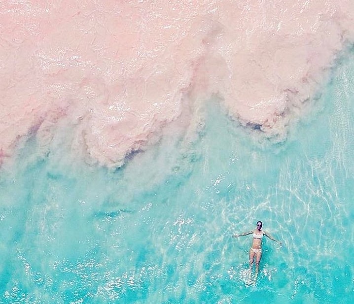 Exploring The Most Gorgeous Pink Sand Beach In The World Exploring The Most Gorgeous Pink Sand Beach In The World