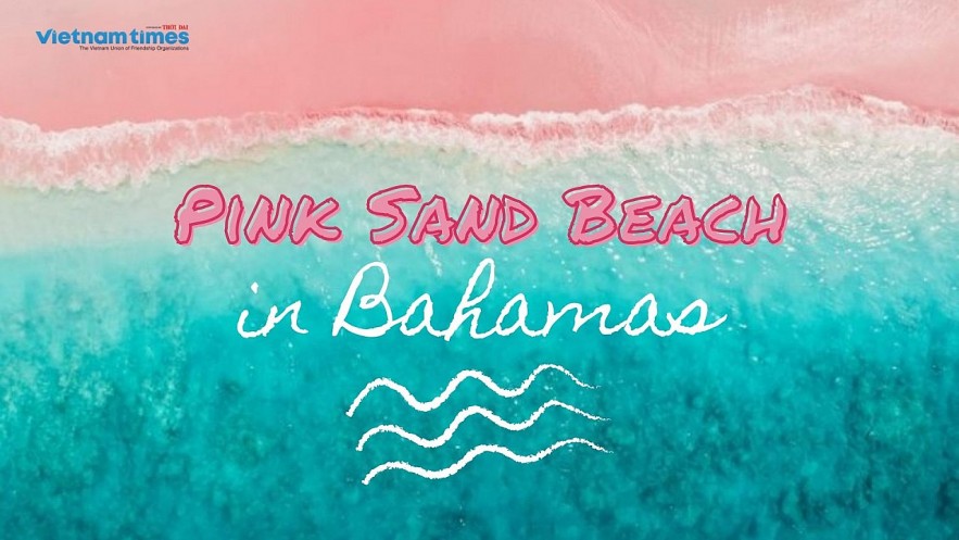 Exploring The Most Gorgeous Pink Sand Beach In The World Exploring The Most Gorgeous Pink Sand Beach In The World