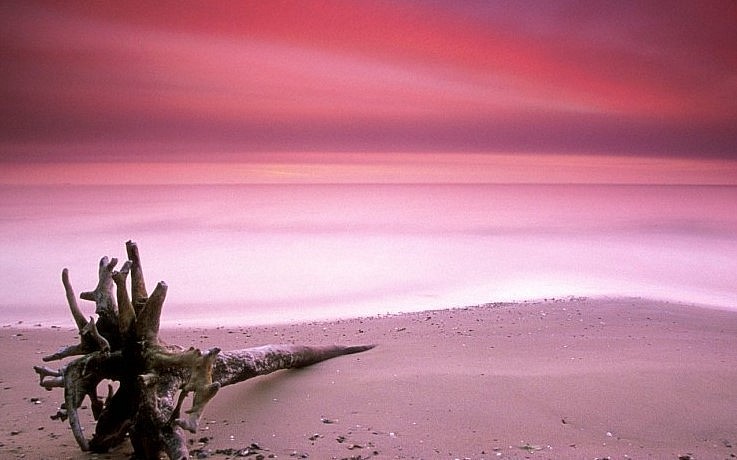 Exploring The Most Gorgeous Pink Sand Beach In The World Exploring The Most Gorgeous Pink Sand Beach In The World