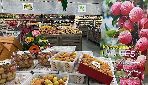 Vietnamese agricultural exports to Australia witness significant progress