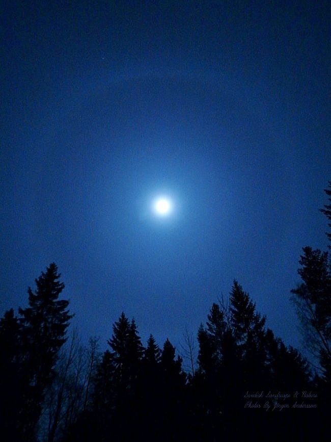 Cold Moon 2020: All things you need to know about the last full moon of the decade Cold Moon 2020: All things you need to know about the last full moon of the decade