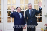 ການ​ພົວ​ພັນ​ຄູ່​ຮ່ວມ​ມື​ຍຸດ​ທະ​ສາດ ຫວຽດ​ນາມ - ສິງ​ກະ​ໂປ ນັບ​ມື້​ນັບ​ພັດ​ທະ​ນາ​ຢ່າງ​ຮອບ​ດ້ານ
