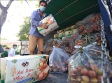 ແກ້ໄຂ, ຟື້ນຟູ, ຊຸກຍູ້ການພັດທະນາຜະລິດ ແລະ ການເຄື່ອນໄຫວດ້ານການຄ້າຢູ່ທ້ອງຖິ່ນ