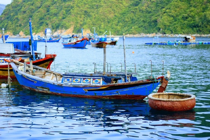 ຄວາມ​ງາມ​ຂອງ​ບັນ​ດາ​ໝູ່​ບ້ານ​ຫາ​ປ່າ​ຢູ່ ຫວຽດ​ນາມ