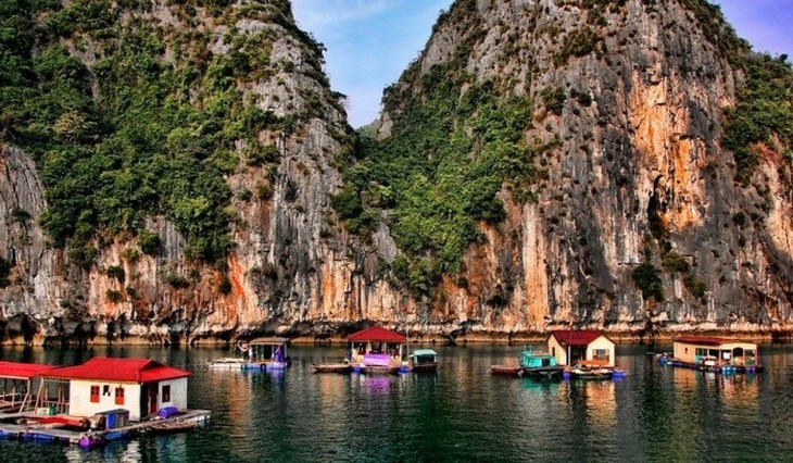 ຄວາມ​ງາມ​ຂອງ​ບັນ​ດາ​ໝູ່​ບ້ານ​ຫາ​ປ່າ​ຢູ່ ຫວຽດ​ນາມ