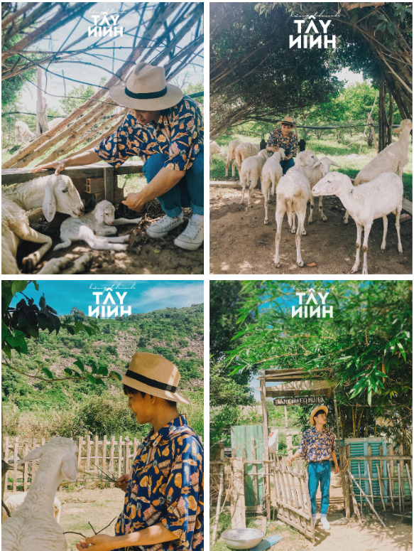 ເປ້ກະເປົາໄປຄົ້ນຫາທຳມະຊາດຢູ່ໄຕນິງ: ພິຊິດພູຜາປ່າໄມ້ ຫຼື Camping ຢູ່ຂ້າງໜອງມີທຸກສິ່ງມີຢ່າງ