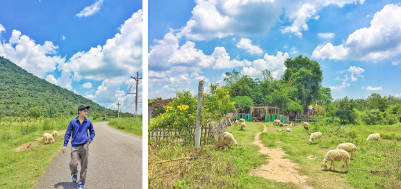 ເປ້ກະເປົາໄປຄົ້ນຫາທຳມະຊາດຢູ່ໄຕນິງ: ພິຊິດພູຜາປ່າໄມ້ ຫຼື Camping ຢູ່ຂ້າງໜອງມີທຸກສິ່ງມີຢ່າງ
