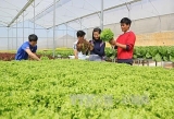 ກ ມບ ລ ສ ດ tata ຊອກ ຫາ ໂອ ກາດ ລ ງ ທ ນເຄ ອງຈ ກກະ ສ ກຳຢ ເກ ນເທ