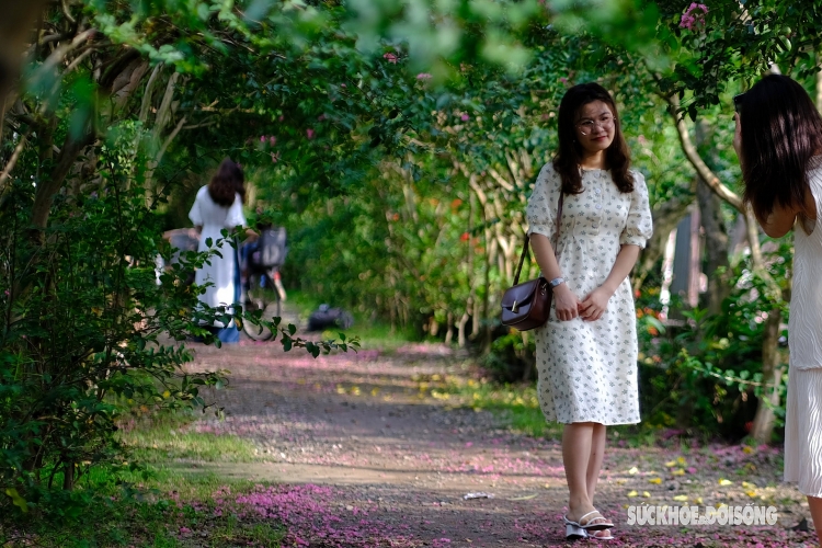 ຫຼົງໄຫຼກັບເສັ້ນທາງທີ່ເຕັມໄປດ້ວຍສີບົວຂອງດອກເຕື່ອງວີ ທີ່ໂຣມານຕິກ ຄືຢູ່ໃນສວນແຫ່ງເທບນິຍາຍ ຫຼົງໄຫຼກັບເສັ້ນທາງທີ່ເຕັມໄປດ້ວຍສີບົວຂອງດອກເຕື່ອງວີ ທີ່ໂຣມານຕິກ ຄືຢູ່ໃນສວນແຫ່ງເທບນິຍາຍ