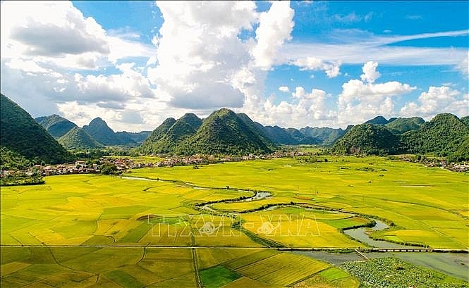 ສີເຫຼືອງອາລ່າມຢູ່ເຂດຮ່ອມພູບັກເຊີນ