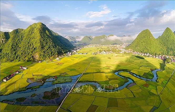 ສີເຫຼືອງອາລ່າມຢູ່ເຂດຮ່ອມພູບັກເຊີນ