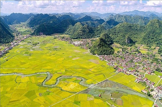 ສີເຫຼືອງອາລ່າມຢູ່ເຂດຮ່ອມພູບັກເຊີນ