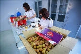 ອະດ ດ ນ ກສ ກສາ ຫວຽດ ນາມ ທ ຮ ຳ ຮຽນ ຢ ອ ດ ສະ ຕາ ລ ຍ າງ ເພ ອ ສ າງມ ນ ນ ທ ໃຫ ແກ ເດ ກ ທ ກ ຍາກ