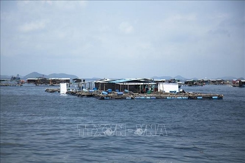 ກອງປະຊຸມໃຫຍ່ຄົບຄະນະ ສະມາຄົມລ້ຽງສິນທະເລ ຫວຽດນາມຄັ້ງທີ II ກອງ ປະ ຊ ມ ໃ ຫຍ ຄ ບ ຄ ະ ນະ ສະ ມາ ຄ ມ ລ ຽງ ສ ນ ທະ ເລ ຫວຽດ ນາມ ຄ ງ ທ ii