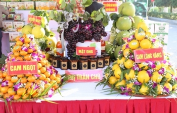 ບັກ​ຢາງ ເພີ່ມ​ທະ​ວີ​ການ​ເຊື່ອມ​ຕໍ່ການຈຳໜ່າຍຜະ​ລິດ​ຕະ​ພັນ​ກະ​ເສດໃນ​ຕະຫຼາດ​ການ​ຄ້າເອ​ເລັກ​ໂຕ​ນິກ
