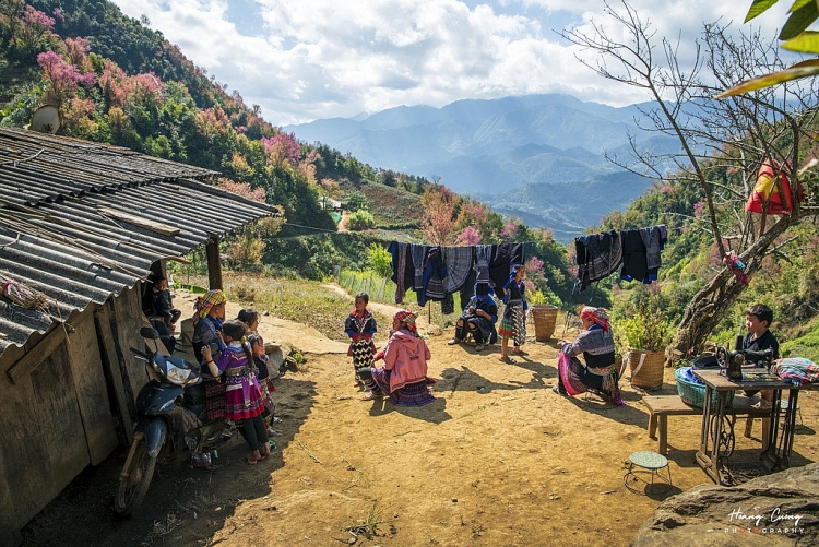 ຮັບ​ຊົມ​ຄວາມ​ງາມ​ຂອງດອກ​ໝັ້ນເຖື່ອນ​ ປົກ​ຄຸມ​ທົ່ວ​ເຂດ​ພູ​ຜາ​ປ່າ​ໄມ້​ ໄຕ​ບັກ