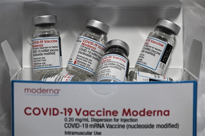 COVID-19 tới 6h sáng 9/3: Thế giới trên 449 triệu ca bệnh; Khó xoá sổ sớm đại dịch Chú thích ảnh