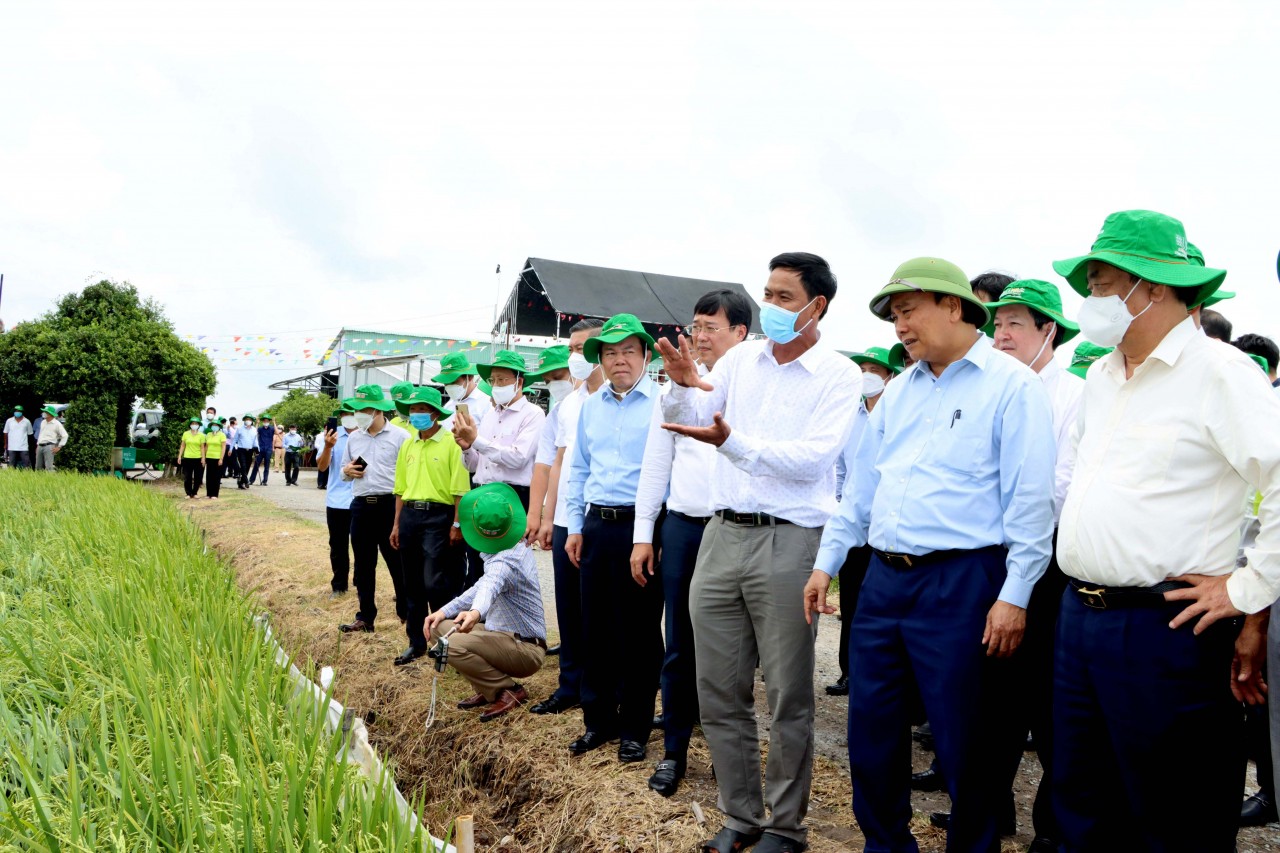 Chủ tịch nước Nguyễn Xuân Phúc đánh giá cao mô hình Hội quán tại Đồng Tháp Chủ tịch nước Nguyễn Xuân Phúc đánh giá cao mô hình Hội quán tại Đồng Tháp
