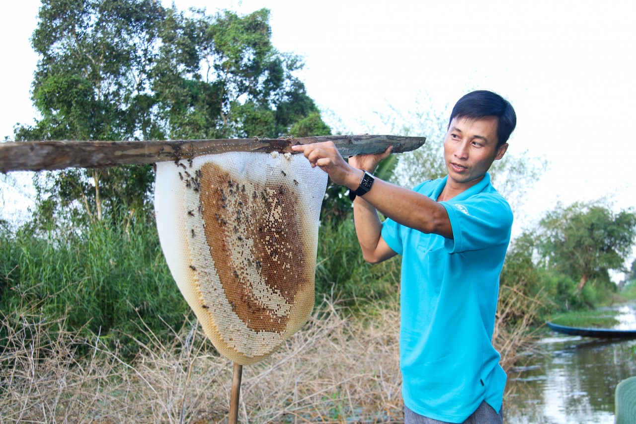 Cà Mau sắp diễn ra nhiều sự kiện văn hóa, du lịch hấp dẫn du khách trong và ngoài nước Cà Mau sắp diễn ra nhiều sự kiện văn hóa, du lịch hấp dẫn du khách trong và ngoài nước