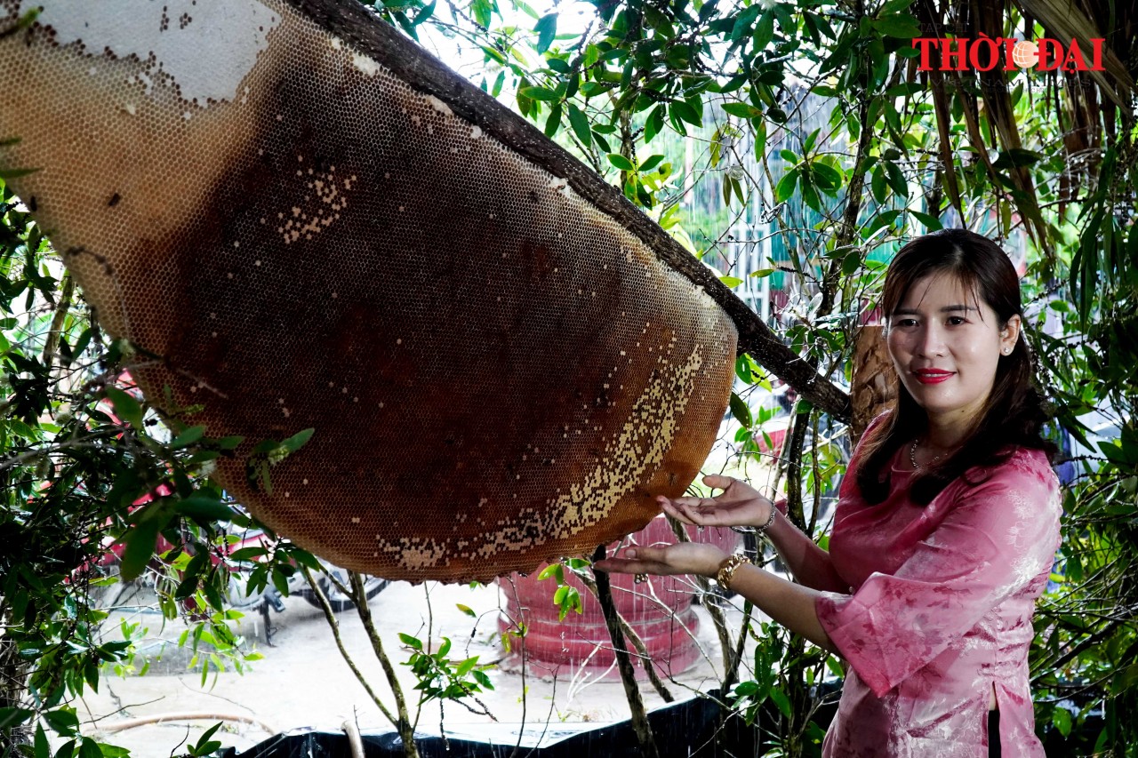 Cà Mau xác lập kỷ lục lẩu mắm và tổ ong lớn nhất Việt Nam Cà Mau xác lập kỷ lục lẩu mắm và tổ ong lớn nhất Việt Nam